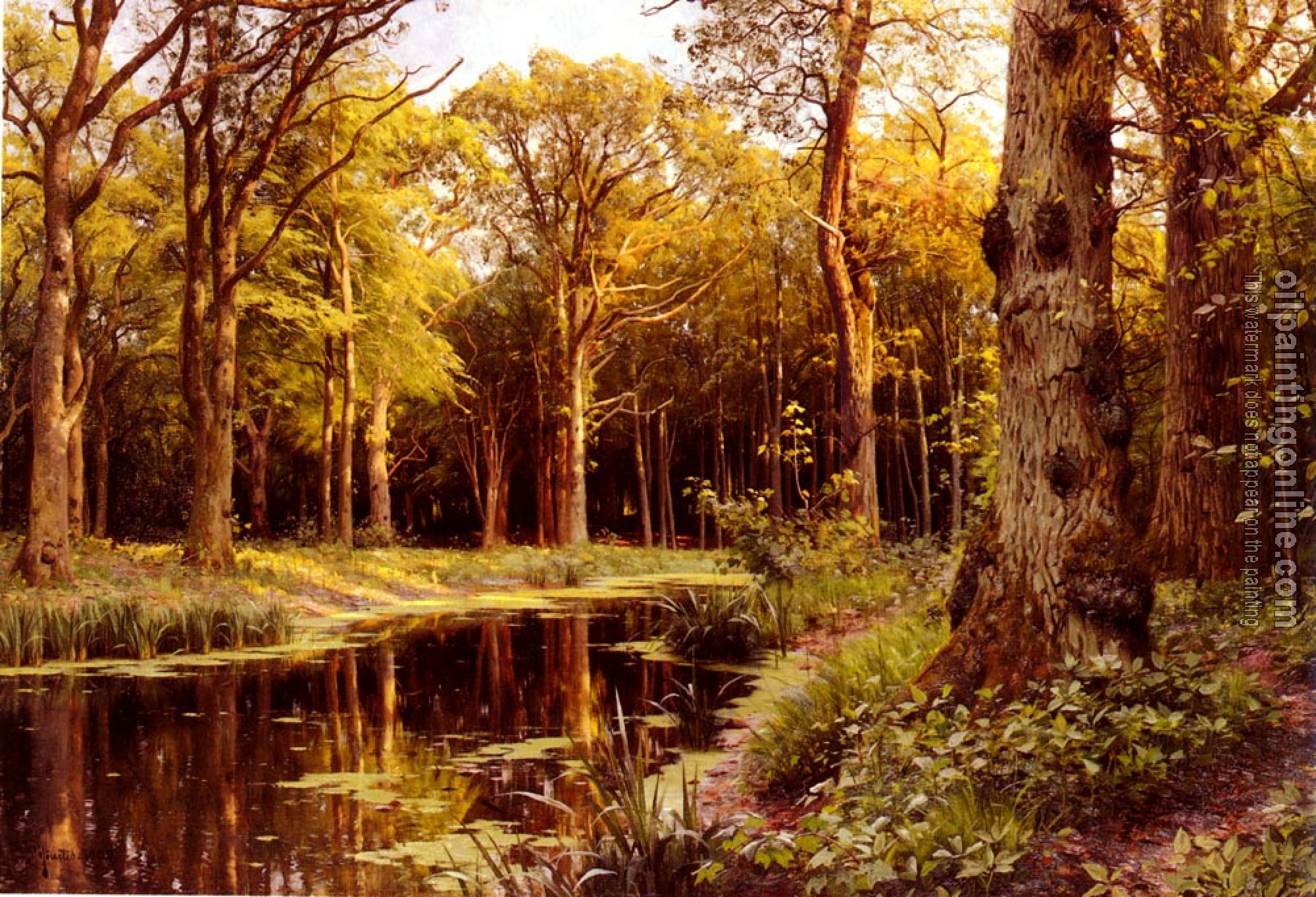 Monsted, Peder Mork - A Forest Stream